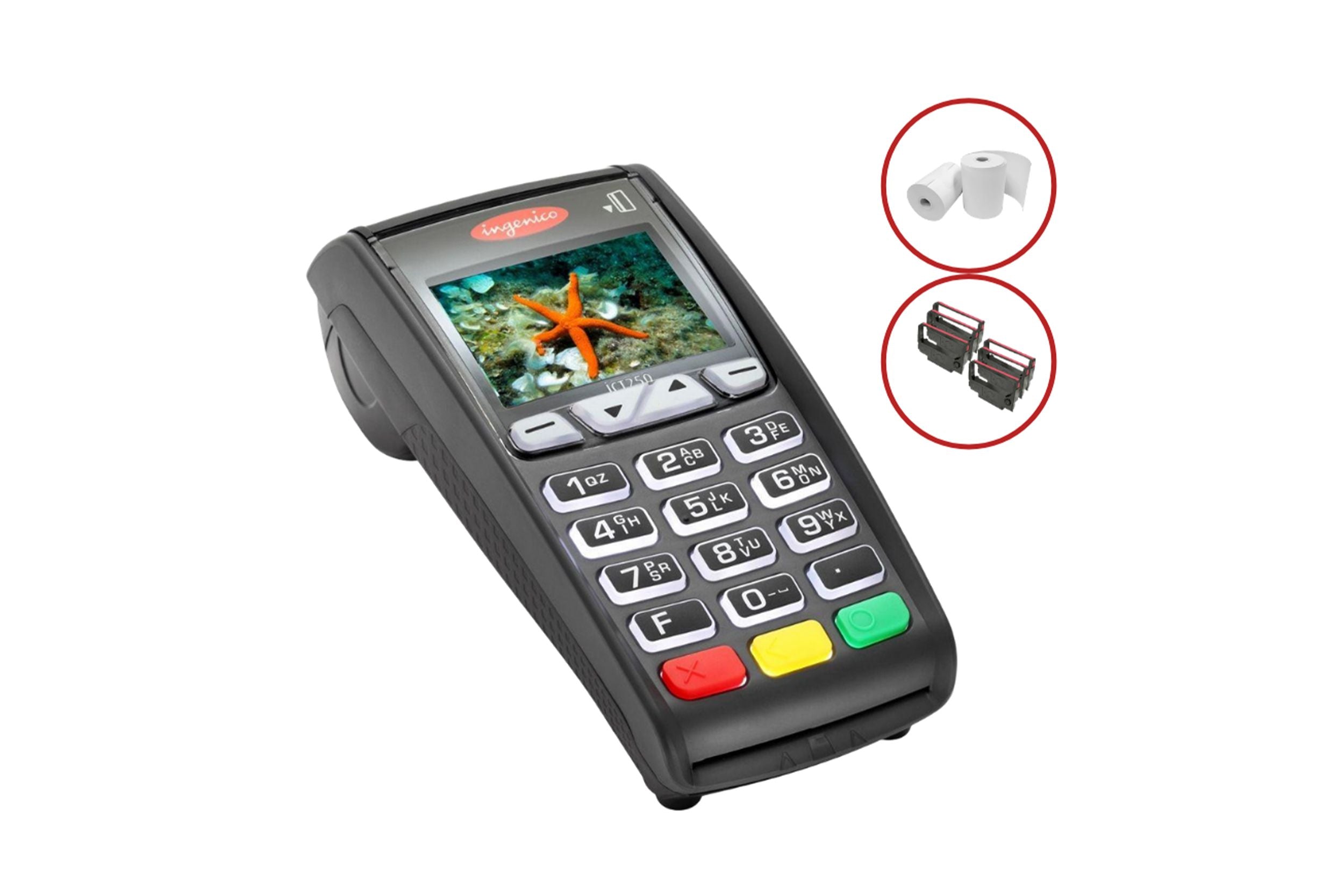 Ingenico iCT250 Bundle